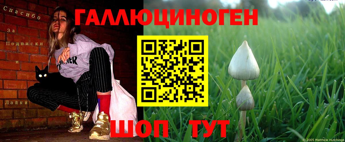 Галлюциногенные грибы GOLDEN TEACHER Старая Купавна